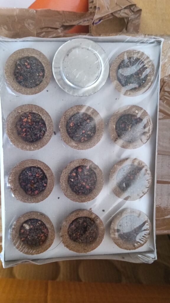 Havan cup dhupbati
